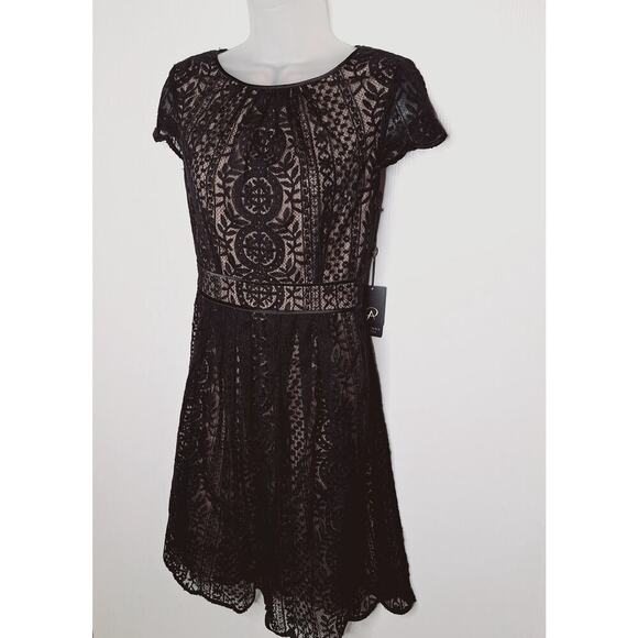 Adrianna Papell Pleat Stripe Filagree Dress Lace Overlay Fit Flare Cap Sleeve 10 - Picture 3 of 14
